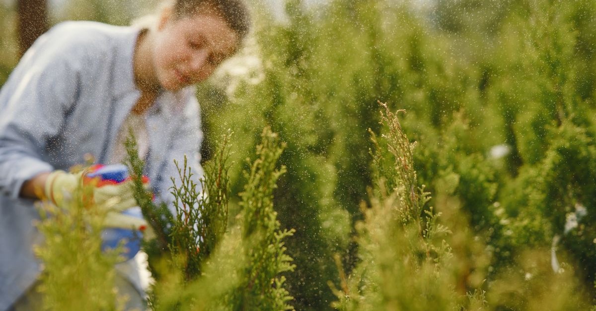 Zielone osiedle bez wysiłku: sprawdzone sposoby na pielęgnację i utrzymanie terenów wspólnych